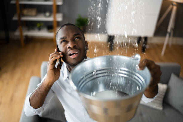 Best Sewage cleanup and water damage restoration  in Wolf Trap, VA