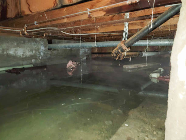 Reliable Wolf Trap, VA Water damage restoration Solutions