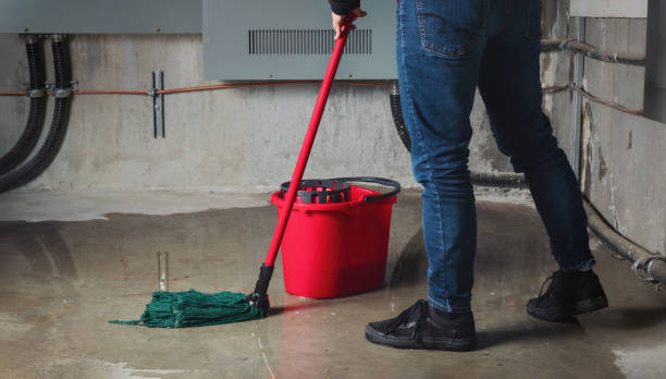 Best Flood restoration services  in Wolf Trap, VA