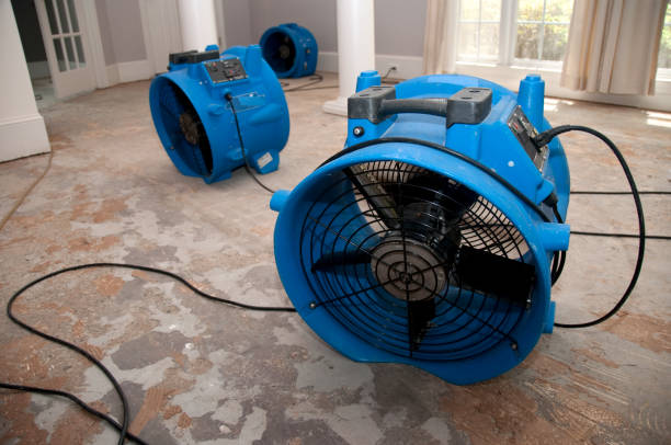 Best Water damage restoration near me  in Wolf Trap, VA