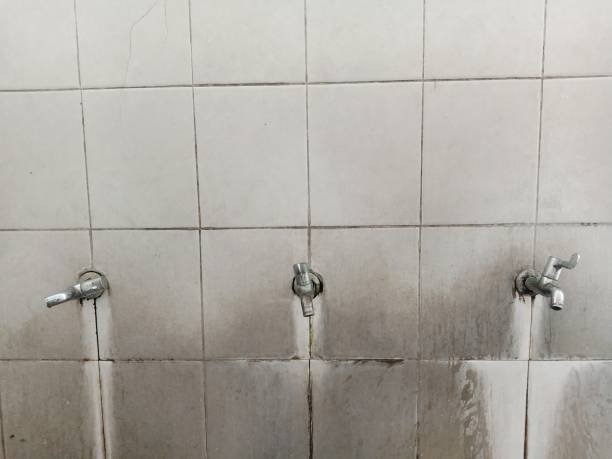 Best Flood damage cleanup  in Wolf Trap, VA